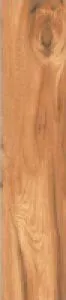 sub-image1