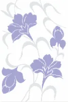 Your Image
