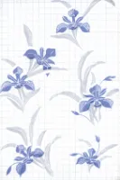 Your Image