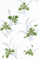 Your Image