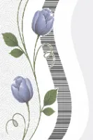 Your Image