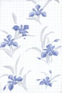 sub-image1