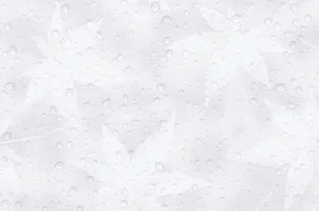 sub-image1