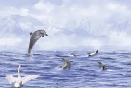 sub-image1
