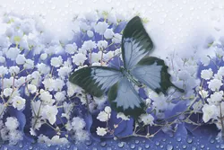 Your Image