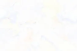 Your Image
