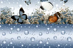 Your Image