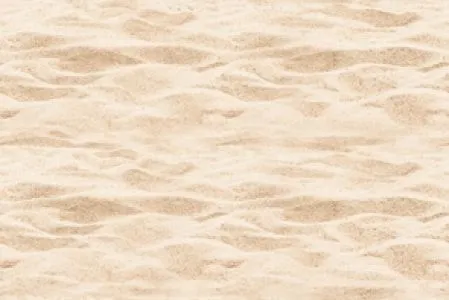 sub-image1