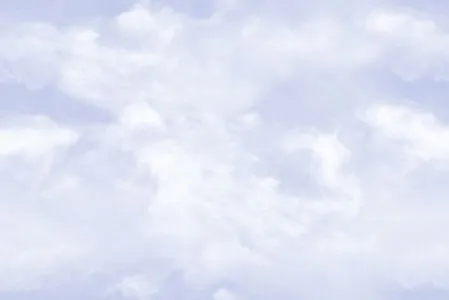 sub-image1