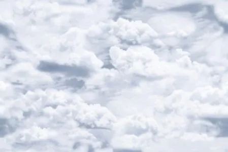 sub-image1