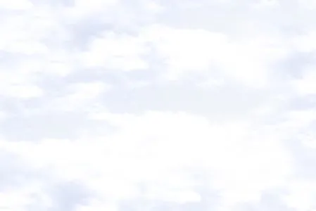 sub-image1