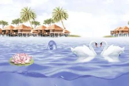 sub-image1