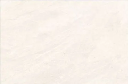 sub-image1