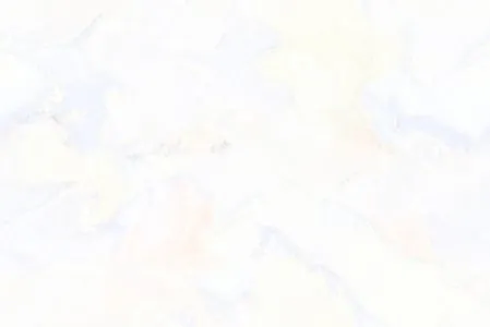 sub-image1