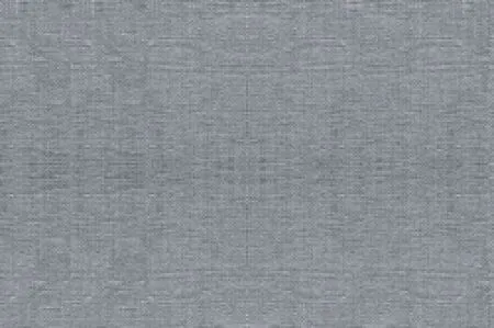sub-image1