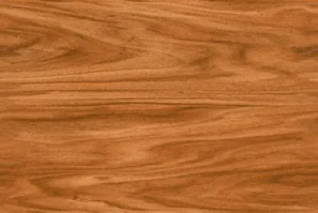 sub-image1