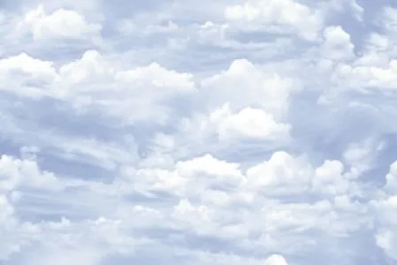 sub-image1