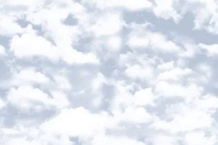 sub-image1