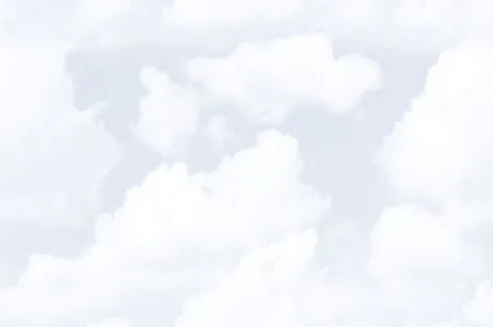 sub-image1