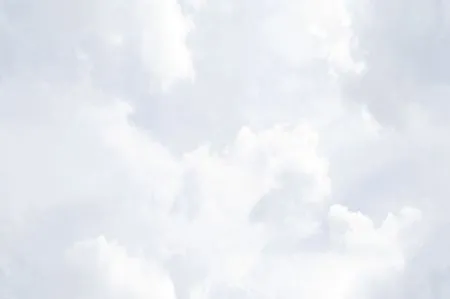 sub-image1