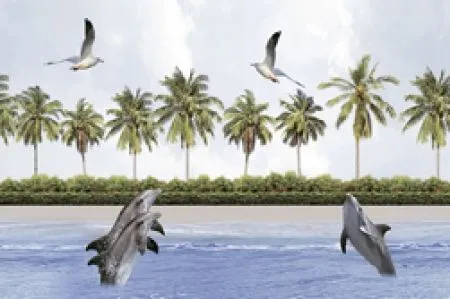sub-image1