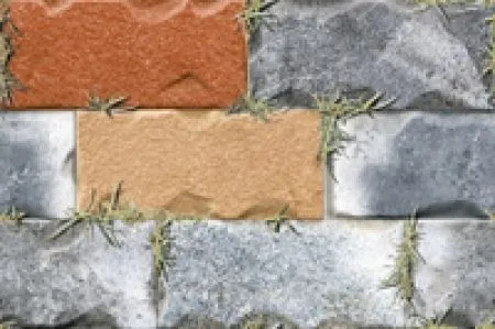 sub-image1