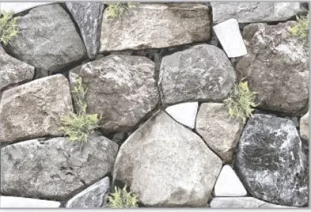 sub-image1