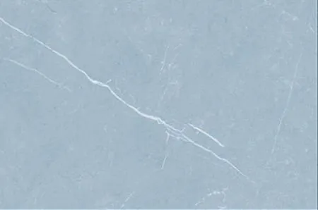 sub-image1