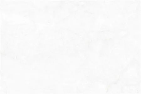 sub-image1
