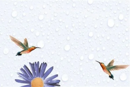 sub-image1