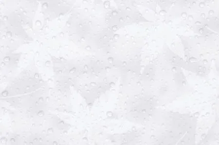sub-image1