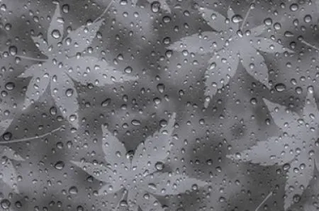 sub-image1