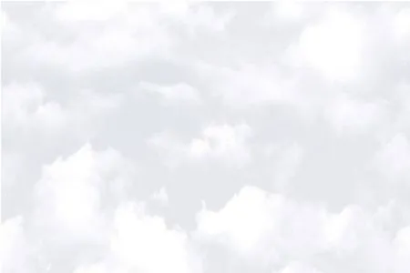 sub-image1