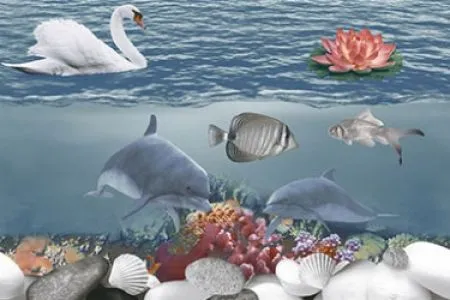 sub-image1