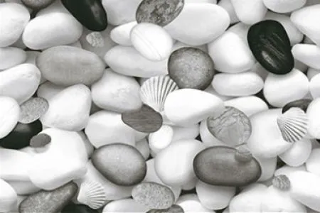 sub-image1