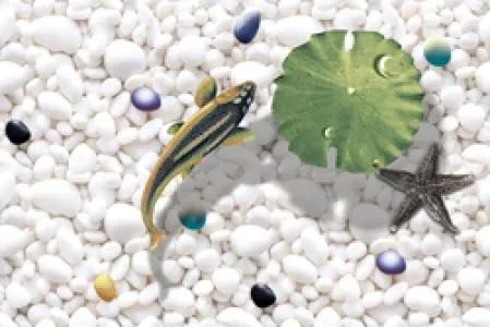 sub-image1