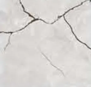 Your Image