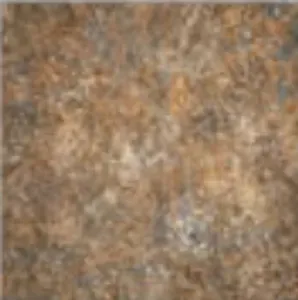 sub-image1
