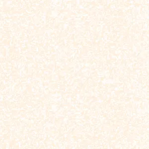 Your Image