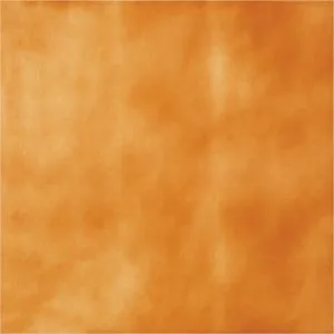 sub-image1
