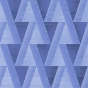 sub-image1