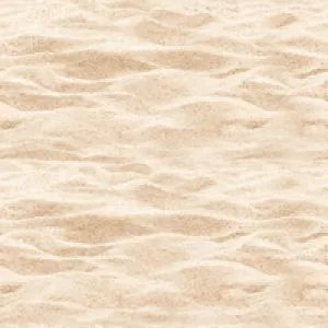 sub-image1