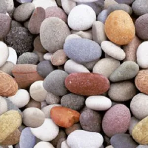 sub-image1