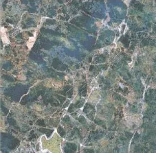 sub-image1