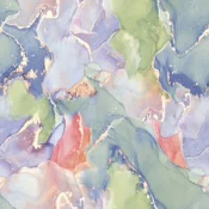 sub-image1