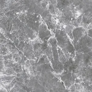 sub-image1