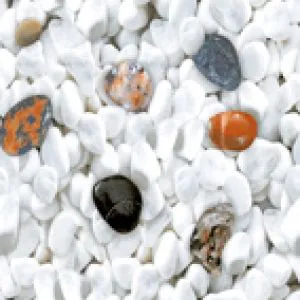 sub-image1