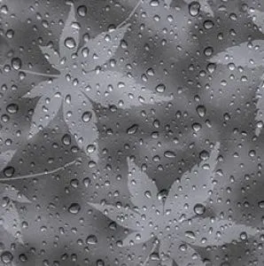 sub-image1