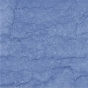 sub-image1