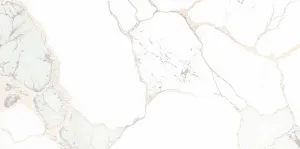 Your Image